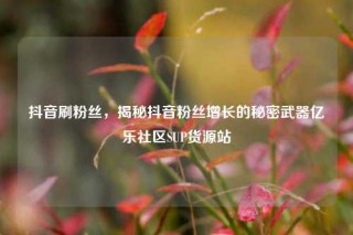 抖音刷粉丝，揭秘抖音粉丝增长的秘密武器亿乐社区SUP货源站