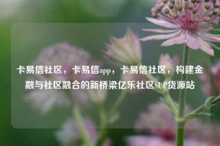 卡易信社区，卡易信app，卡易信社区，构建金融与社区融合的新桥梁亿乐社区SUP货源站
