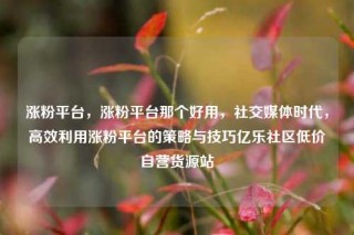 涨粉平台，涨粉平台那个好用，社交媒体时代，高效利用涨粉平台的策略与技巧亿乐社区低价自营货源站