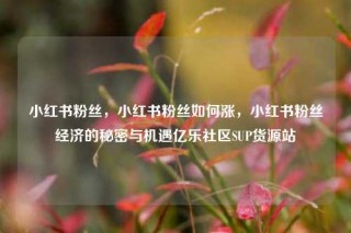 小红书粉丝，小红书粉丝如何涨，小红书粉丝经济的秘密与机遇亿乐社区SUP货源站