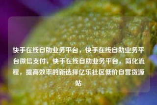 快手在线自助业务平台，快手在线自助业务平台微信支付，快手在线自助业务平台，简化流程，提高效率的新选择亿乐社区低价自营货源站
