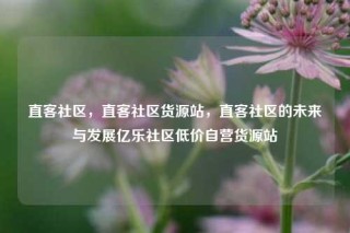 直客社区，直客社区货源站，直客社区的未来与发展亿乐社区低价自营货源站