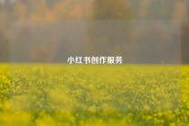 小红书创作服务