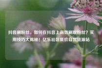 抖音刷粉丝，如何在抖音上高效刷取粉丝？实用技巧大揭秘！亿乐社区低价自营货源站