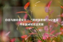 白宫与国会意见不一 “政府效率部”90亿美元开支削减或无法实现