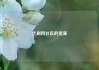 代刷网社区的货源