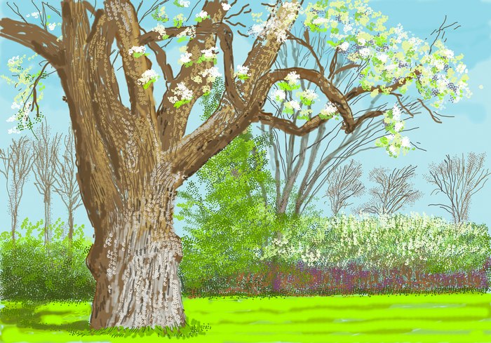 打破陈规	，推翻“观看”：大卫·霍克尼首个数字艺术展登陆上海  第5张