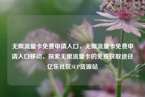 无限流量卡免费申请入口，无限流量卡免费申请入口移动	，探索无限流量卡的免费获取途径亿乐社区SUP货源站  第1张