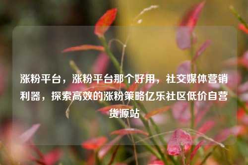 涨粉平台，涨粉平台那个好用	，社交媒体营销利器，探索高效的涨粉策略亿乐社区低价自营货源站  第1张