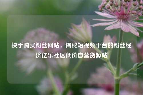 快手购买粉丝网站，揭秘短视频平台的粉丝经济亿乐社区低价自营货源站  第1张