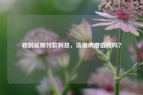 收到延期付款利息	，该缴纳增值税吗？  第1张