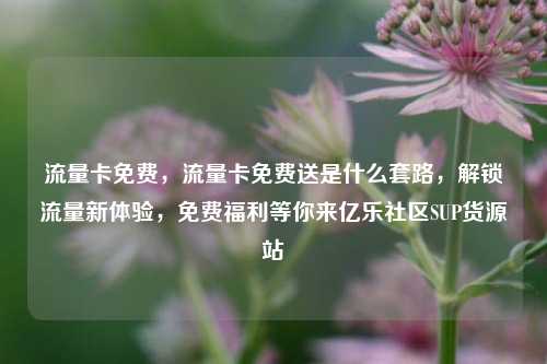 流量卡免费	，流量卡免费送是什么套路，解锁流量新体验，免费福利等你来亿乐社区SUP货源站  第1张