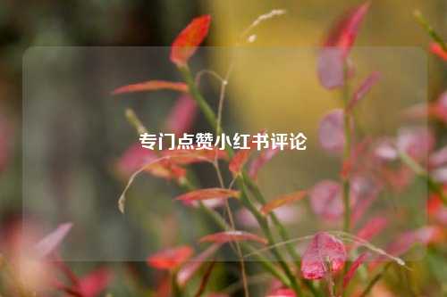 专门点赞小红书评论  第1张