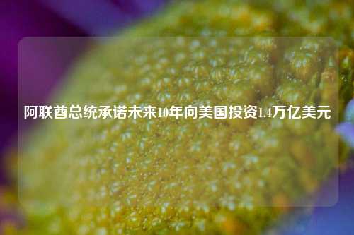 阿联酋总统承诺未来10年向美国投资1.4万亿美元  第1张