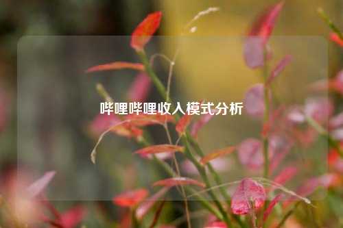 哔哩哔哩收入模式分析  第1张