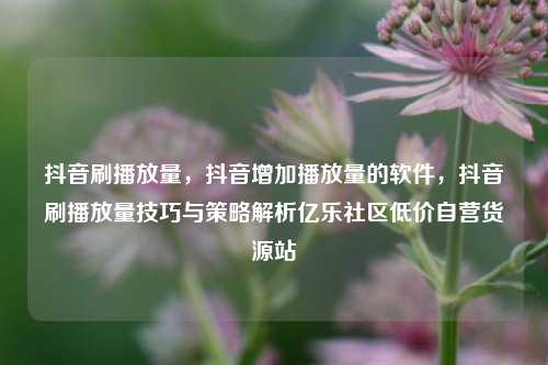抖音刷播放量，抖音增加播放量的软件	，抖音刷播放量技巧与策略解析亿乐社区低价自营货源站  第1张