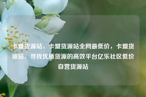 卡盟货源站，卡盟货源站全网最低价	，卡盟货源站，寻找优质货源的高效平台亿乐社区低价自营货源站  第1张