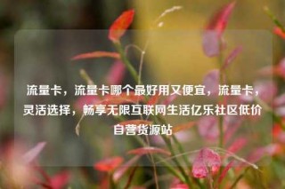 流量卡，流量卡哪个最好用又便宜，流量卡，灵活选择，畅享无限互联网生活亿乐社区低价自营货源站