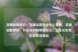 货源站超低价，货源站超低价什么意思，货源站超低价，开启你的购物新纪元！亿乐社区低价自营货源站