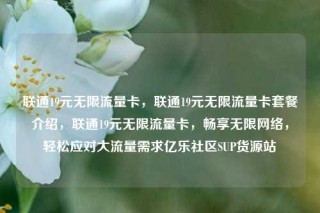 联通19元无限流量卡，联通19元无限流量卡套餐介绍，联通19元无限流量卡，畅享无限网络，轻松应对大流量需求亿乐社区SUP货源站