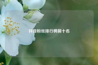 抖音粉丝排行榜前十名