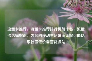 流量卡推荐，流量卡推荐排行榜前十名，流量卡选择指南，为您的移动生活增添无限可能亿乐社区低价自营货源站