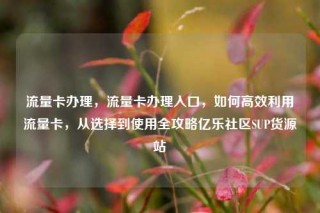 流量卡办理，流量卡办理入口，如何高效利用流量卡，从选择到使用全攻略亿乐社区SUP货源站