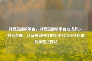 抖音直播放平台，抖音直播放平台抽成多少，抖音直播，从草根到网红的新平台亿乐社区低价自营货源站