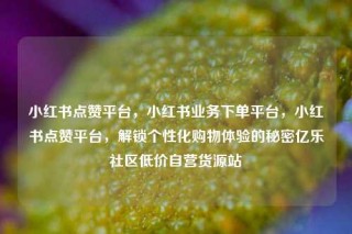 小红书点赞平台，小红书业务下单平台，小红书点赞平台，解锁个性化购物体验的秘密亿乐社区低价自营货源站