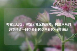时空云社区，时空云社区货源站，构建未来的数字桥梁—时空云社区亿乐社区SUP货源站