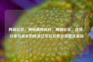 两碗社区，两碗镇两碗村，两碗社区，连接、分享与成长的桥梁亿乐社区低价自营货源站