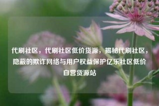 代刷社区，代刷社区低价货源，揭秘代刷社区，隐蔽的欺诈网络与用户权益保护亿乐社区低价自营货源站