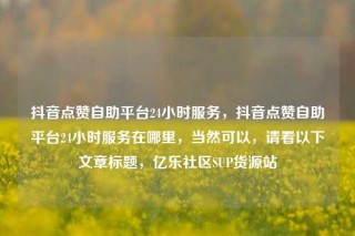 抖音点赞自助平台24小时服务，抖音点赞自助平台24小时服务在哪里，当然可以，请看以下文章标题，亿乐社区SUP货源站