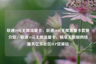联通19元无限流量卡，联通19元无限流量卡套餐介绍，联通19元无限流量卡，畅享无限制网络服务亿乐社区SUP货源站