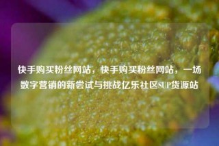 快手购买粉丝网站，快手购买粉丝网站，一场数字营销的新尝试与挑战亿乐社区SUP货源站