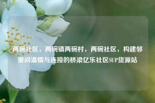 两碗社区，两碗镇两碗村，两碗社区，构建邻里间温情与连接的桥梁亿乐社区SUP货源站