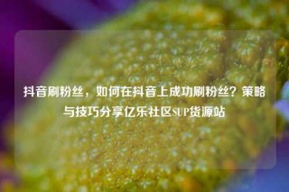 抖音刷粉丝，如何在抖音上成功刷粉丝？策略与技巧分享亿乐社区SUP货源站