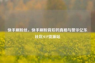 快手刷粉丝，快手刷粉背后的真相与警示亿乐社区SUP货源站