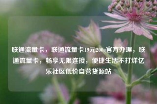 联通流量卡，联通流量卡19元200g官方办理，联通流量卡，畅享无限连接，便捷生活不打烊亿乐社区低价自营货源站