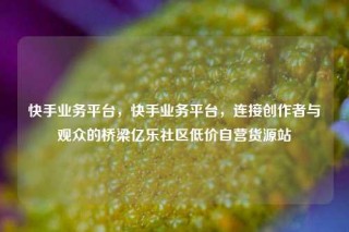 快手业务平台，快手业务平台，连接创作者与观众的桥梁亿乐社区低价自营货源站