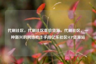 代刷社区，代刷社区低价货源，代刷社区，一种新兴的网络欺诈手段亿乐社区SUP货源站