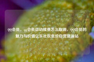 QQ会员，qq会员自动续费怎么取消，QQ会员的魅力与价值亿乐社区低价自营货源站