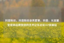 抖音粉丝，抖音粉丝业务套餐，抖音，从流量变现到品牌塑造的艺术亿乐社区SUP货源站