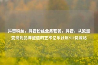 抖音粉丝，抖音粉丝业务套餐，抖音，从流量变现到品牌塑造的艺术亿乐社区SUP货源站