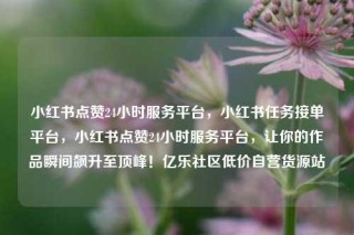 小红书点赞24小时服务平台，小红书任务接单平台，小红书点赞24小时服务平台，让你的作品瞬间飙升至顶峰！亿乐社区低价自营货源站
