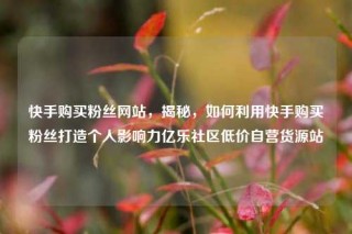快手购买粉丝网站，揭秘，如何利用快手购买粉丝打造个人影响力亿乐社区低价自营货源站