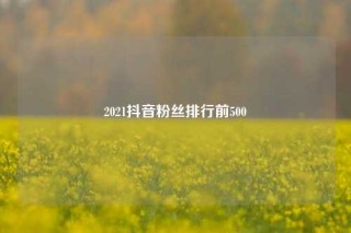 2021抖音粉丝排行前500