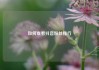 如何查看抖音粉丝排行