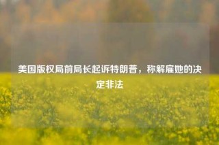 美国版权局前局长起诉特朗普，称解雇她的决定非法