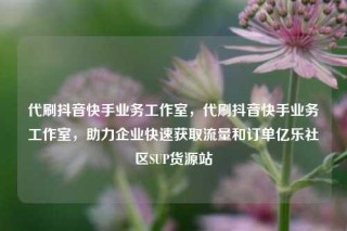 代刷抖音快手业务工作室，代刷抖音快手业务工作室，助力企业快速获取流量和订单亿乐社区SUP货源站